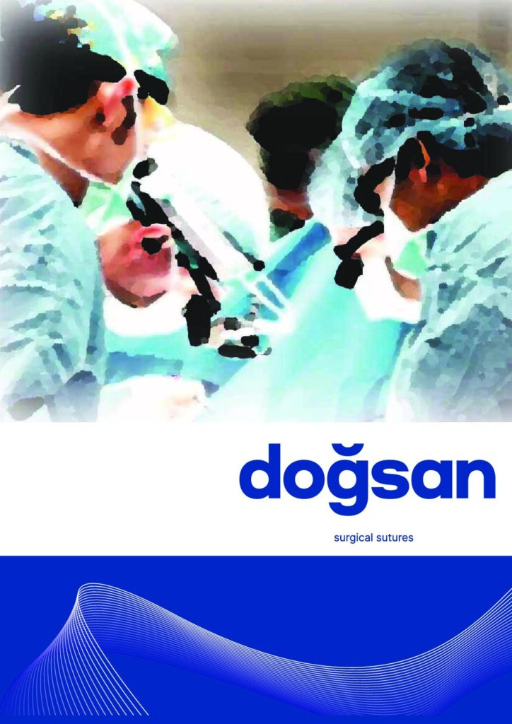 PDF Preview